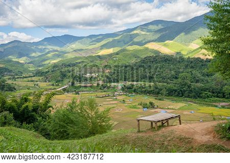Beautiful Landscape Scenic Of Rice Field In The Countryside Called 