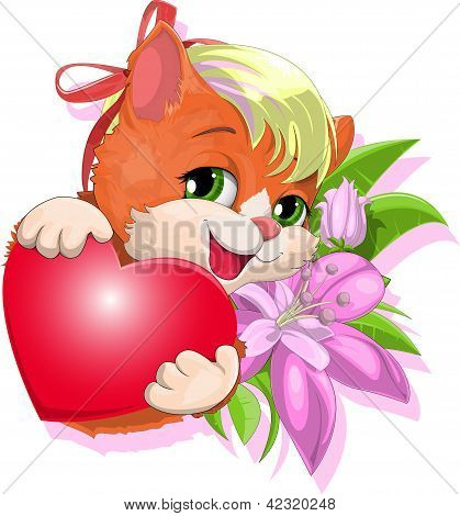 nazik kitty