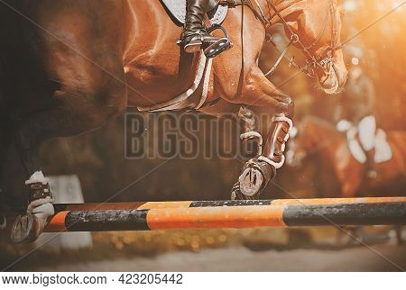 A Beautiful Bay Shod Racehorse With A Rider In The Saddle Jumps Over The High Yellow Barrier At A Sh