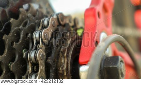 Close-up Of A Rear Set Of Gear Shifting Sprockets On The Rear Wheel Of A Modern Mountain Bike With C
