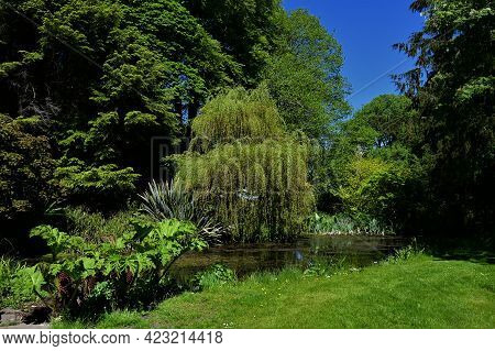 A View Across A Pond In An Area Of Woodland In The Gardens Of Drum Castle In Deeside, Scotland.