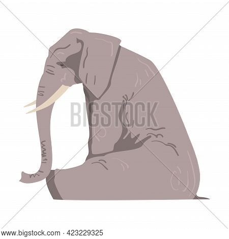 Sitting Elephant As Large African Animal With Trunk, Tusks, Ear Flaps And Massive Legs Side View Vec