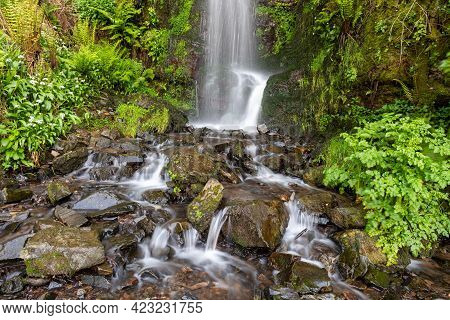 Hollowbrook Waterfall