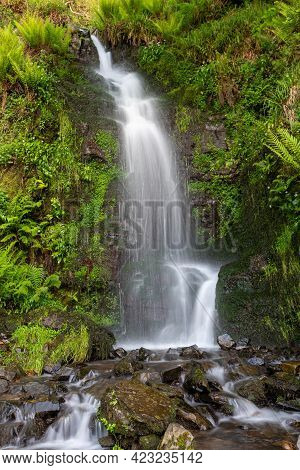 Hollowbrook Waterfall