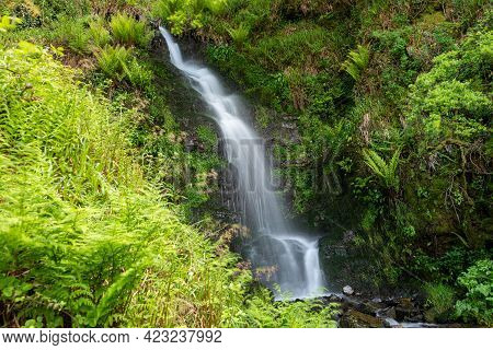 Hollowbrook Waterfall
