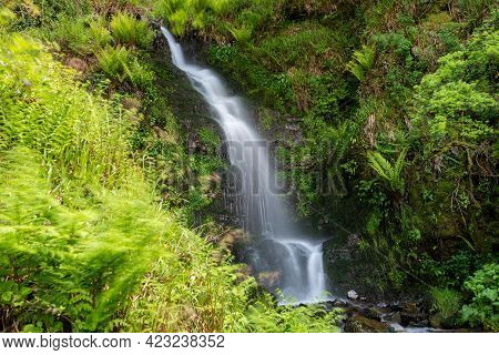 Hollowbrook Waterfall