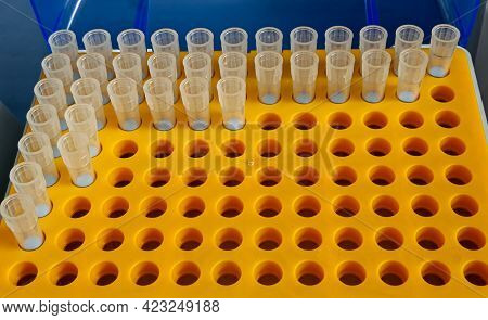 Tips In Orange Plastic Rack For Micropipette
