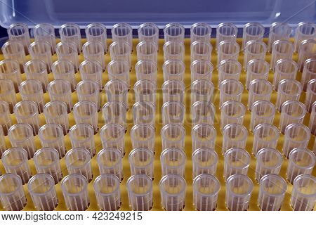 Tips In Yellow Plastic Rack For Micropipette