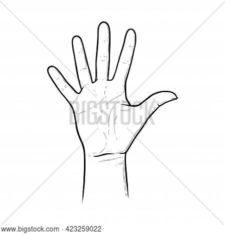 Five Raised Fingers As A Greeting To Say Hi. Highfive Gesture Axpressinf Approval Or Salutation. Ske
