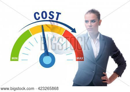 Businesswoman in cost management concept