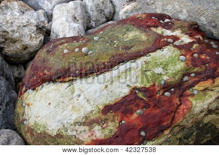 Ricco di ferro ferroso Boulder
