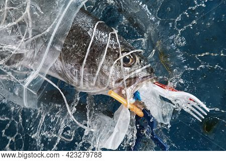 Falling sea fish with plastic garbage. Plastic waste environmental pollution problem.