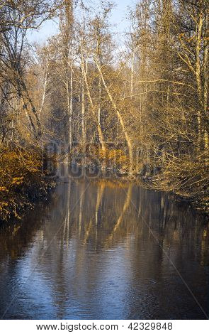 Río en el Parque de Monza