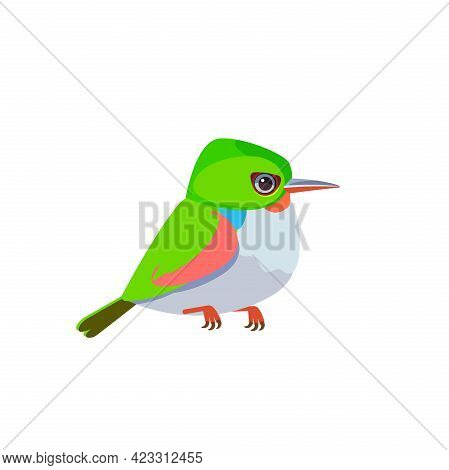 Cuban Tody Or Jamaican Tody. Exotic Small Tropical Bird Isolated On White Cartoon Vector Illustratio