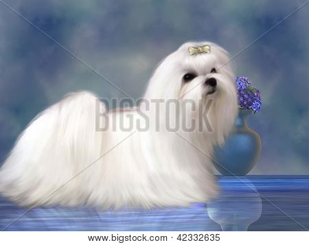 Maltesisk hunde