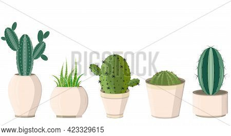 Plants. Houseplants. Set Of Colored Vector Icons Cactus In A Pot Isolated On White Background
