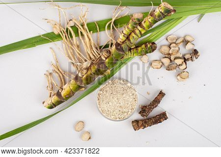 Fresh And Dried Acorus Calamus Roots, Also Known As Sweet Flag, Calamus Leaves And Powder Isolated O