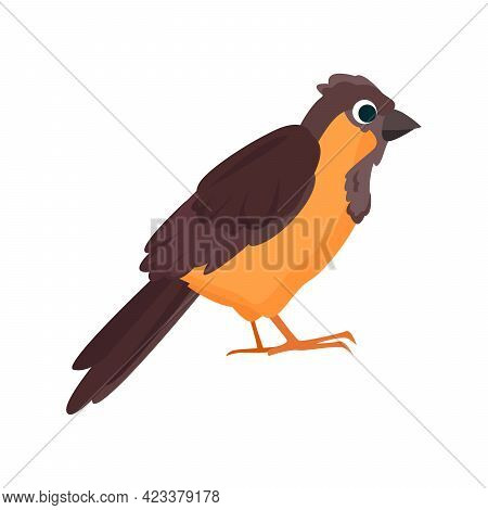 Thrush Flat Icon. Colored Vector Element From Birds Collection. Creative Thrush Icon For Web Design,