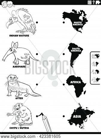Black And White Cartoon Illustration Of Educational Matching Game For Children With Animal Species C