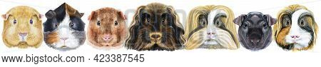 Large Guinea Pigs Border Set, Pet Portrait