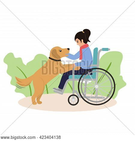 Girl In Wheelchair Plays Witn Her Dog. Companion Dog Supports Disabled Child. Optimism And Kindness 