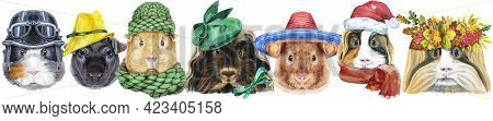 Large Guinea Pigs Border Set, Pet Portraits