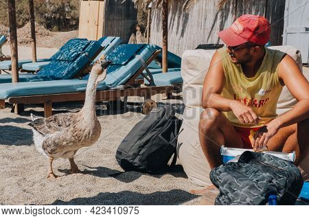 Kalafati, Greece - September 24, 2019: Diana The Goose, A Mascot Of Kalafati Beach, Mykonos, Curious
