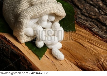 White Silk Cocoons With Sackcloth Bag And Mulberry Leaves On Tree Bark, Closeup