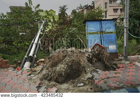 Howrah, West Bengal, India - 31st May 2020 : Super Cyclone Amphan Uprooted Tree. The Force Destroyed