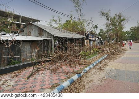Howrah, West Bengal, India - 31st May 2020 : Super Cyclone Amphan Uprooted Tree Which Fell And Block