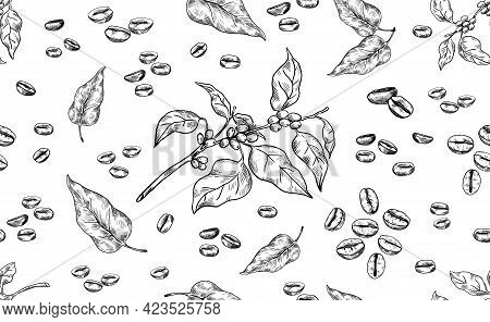 Coffee Pattern. Hand Drawn Seamless Texture Of Arabica Beans. Tree Branch And Leaves. Roasted Aroma 