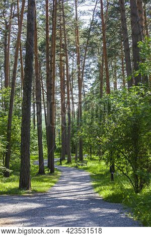 Park In The Tomskaya Pisanitsa Museum-reserve. Kemerovo Region, Russia
