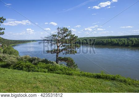 Pine At Tom River. View From The Shore In The Tomskaya Pisanitsa Museum-reserve. Kemerovo Region, Ru