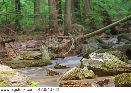 Silky Effect Of Cascades And Ripples Of Running Water In A Brook At Resovske Vodopady Park. Czech Re
