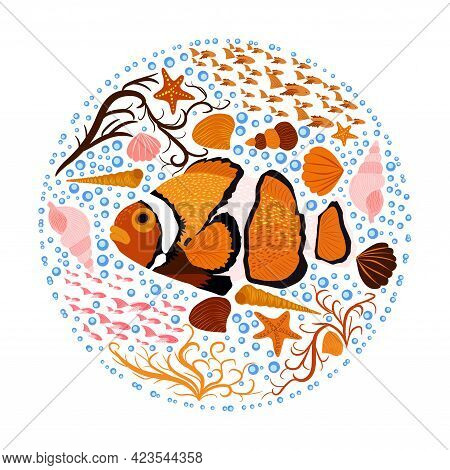 Amphiprion, Orange Bright Sea Dweller Clown Fish Surrounded By Seashells, Fish, Seaweed, Hand Drawn