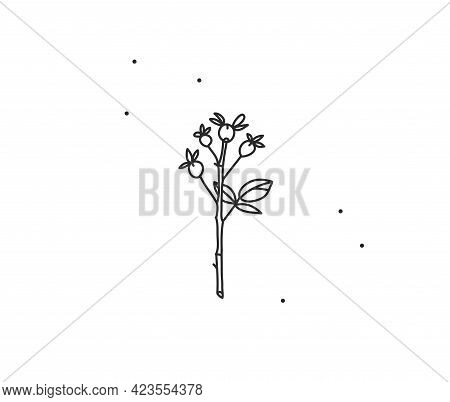 Hand Drawn Vector Abstract Stock Flat Graphic Illustration With Logo Element, Bohemian Magic Flower 