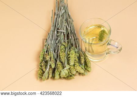 Dried Sideritis Scardica Also Known As Ironwort, Mountain Tea, And Shepherd's Tea, Brewed Tea