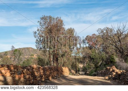 Road With Historic Stone Boundary Walls On A Farm Near Top Of Seweweekspoort In The Swartberg Mounta