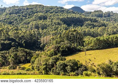 Forest And Farm Field Views Over Mountains, Pinhal Alto, Nova Petropolis, Rio Grande Do Sul, Brazil
