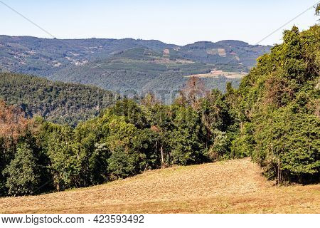 Forest And Farm Plantation Views Over Mountains