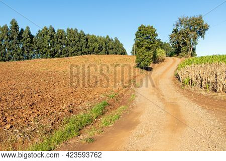 Soil Preparation For Planting And Road