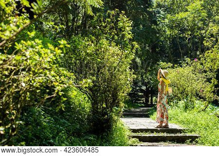 traveling Asian woman hiking in the forest at Xitou, Nantou, Taiwan