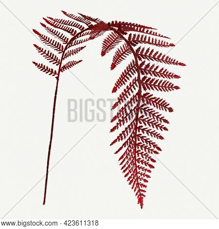 Red colored leatherleaf fern mockup