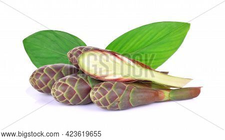 A Phlai, Cassumunar Ginger, Bengal Root On White Background