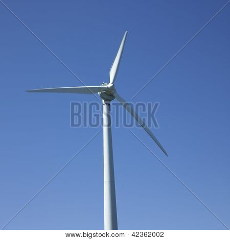 Windmill