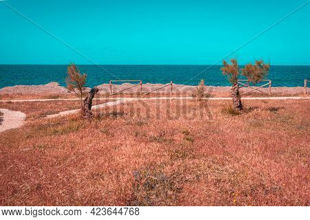 Panorama Of Lungomare Boeo, Marsala, Trapani, Sicily, Italy, Europe