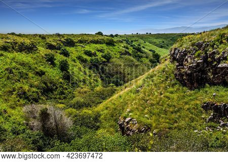  Spring blooming Golan Heights - a mountain plateau of volcanic origin. Holiday. Jewish Easter in Israel. The concept of ecological, active and photo tourism