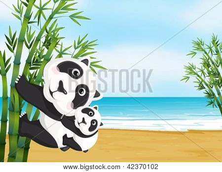 Obrázek matky a dítěte pand