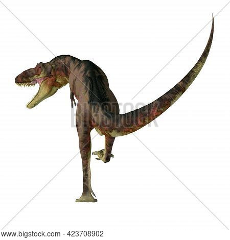 Daspletosaurus Dinosaur Carnivore 3d Illustration - Daspletosaurus Was A Carnivorous Theropod Dinosa