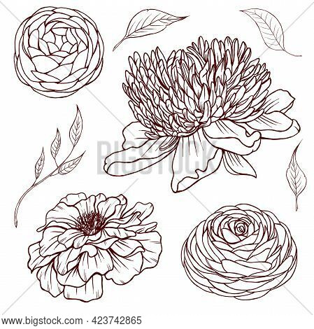 Black Summer Flowers Line Art, Garden Flowers Sketch, Peony, Raununculus, Leaves, Summer Botanica, W
